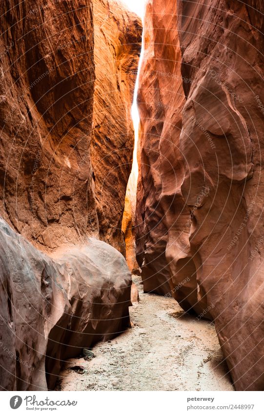 slot canyon, grand staircase national monument, usa Vacation & Travel Tourism Trip Adventure Far-off places Freedom Summer Hiking Environment Nature Landscape