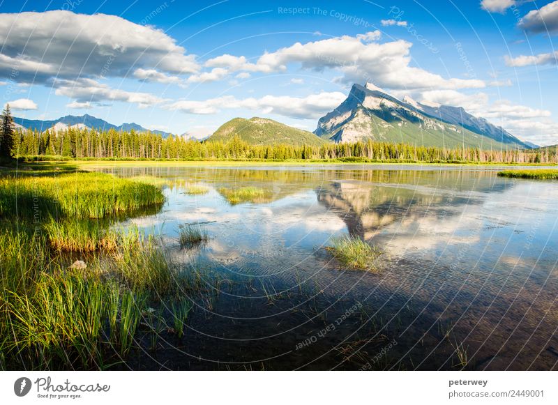 Panorama of Mount Rundle mountain peak with blue sky Beautiful Summer Mountain Nature Landscape Sky Clouds Grass Forest Pond Lake Blue Green Colour