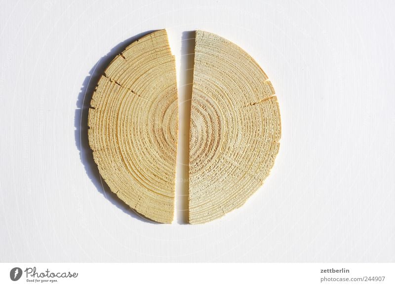 wood Nature Tree Flower Wood Good Wooden board Half Divided Broken Annual ring Slice Middle heartwood Column Colour photo Subdued colour Close-up Detail