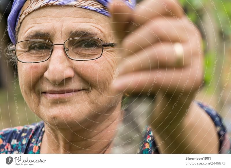 Close-up portrait of a senior Muslim woman with eyeglass at garden Vegetable Lifestyle Healthy Healthy Eating Wellness Well-being Leisure and hobbies Garden