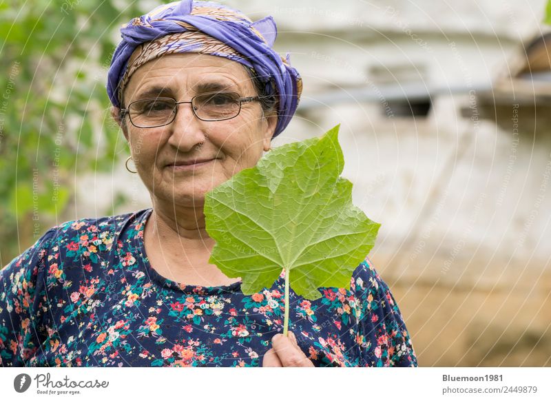 Portrait of a senior Muslim woman holding cucumber plant leaf by hand Vegetable Nutrition Eating Organic produce Vegetarian diet Lifestyle Style Healthy Eating