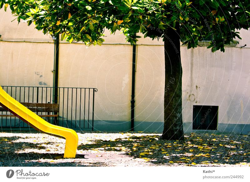 Playground in Tuscany Playing Summer Garden Nature Beautiful weather Tree Park Deserted Wall (barrier) Wall (building) Happiness Yellow Green Joy