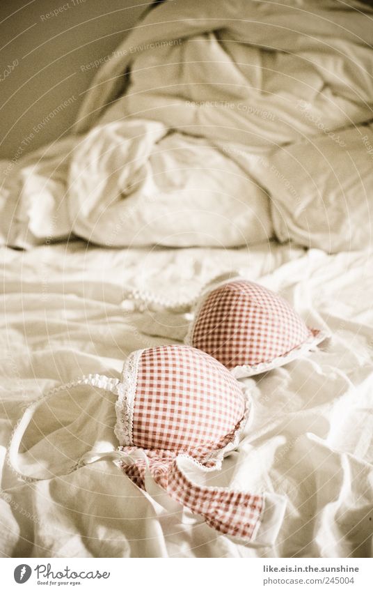 long party yesterday... Bed Night life Underwear Cloth Romance Lust Bra Lace Frills Checkered Sheet Duvet Bedclothes Girlish Pink White Colour photo