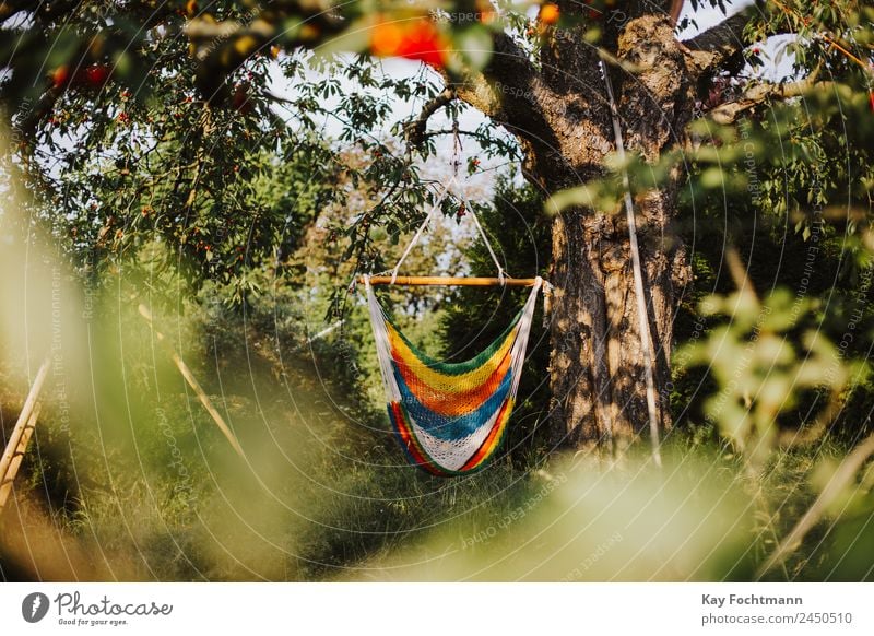 Hammock in summer Lifestyle Harmonious Well-being Contentment Relaxation Calm Leisure and hobbies Vacation & Travel Tourism Freedom Summer Summer vacation