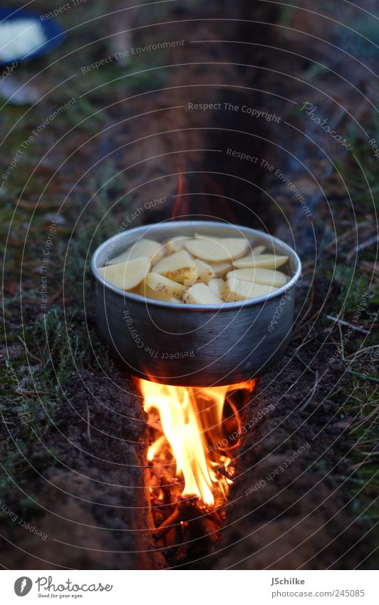 fire in the earth Food Potatoes Dinner Picnic Leisure and hobbies Vacation & Travel Expedition Camping Summer Nature Earth Fire Cooking Fireplace Simple