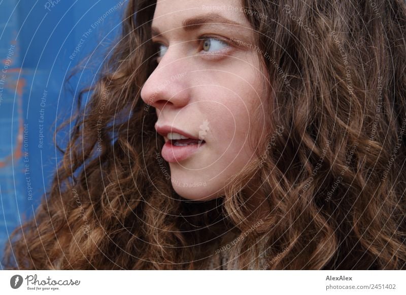 Lateral portrait of a young woman with long, curly, brunette hair already Hair and hairstyles Face Well-being Young woman Youth (Young adults) 18 - 30 years