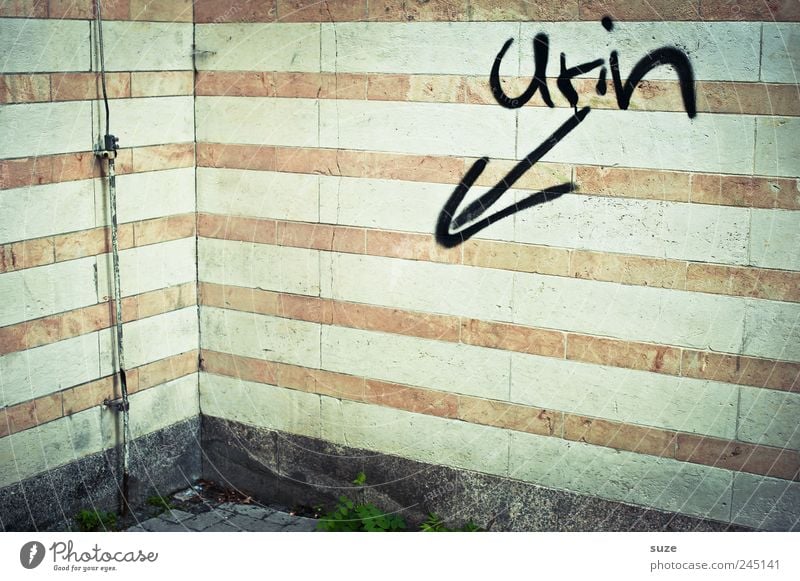 freehand Wall (barrier) Wall (building) Facade Characters Line Arrow Stripe Authentic Dirty Funny Trashy Gloomy Urine Corner Lightning rod Typography