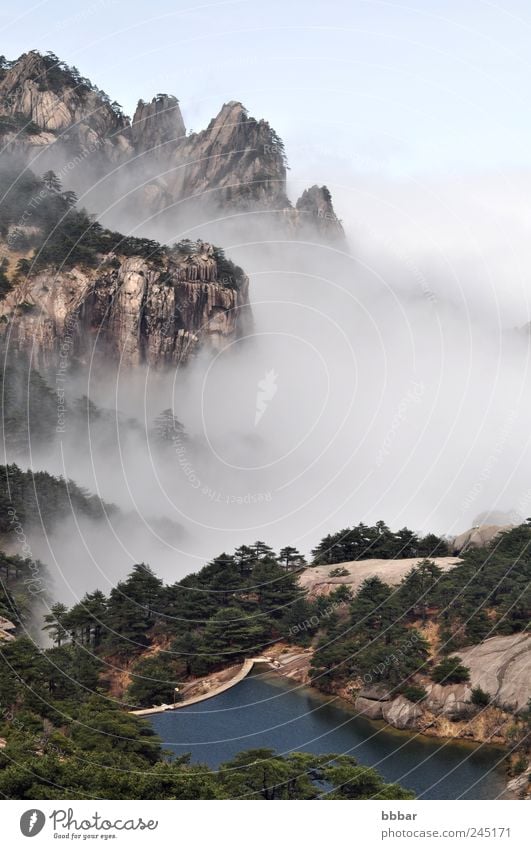 Landscape of mountains and lake in the morning fogs Beautiful Vacation & Travel Summer Mountain Environment Nature Plant Sky Clouds Weather Fog Tree Park Forest