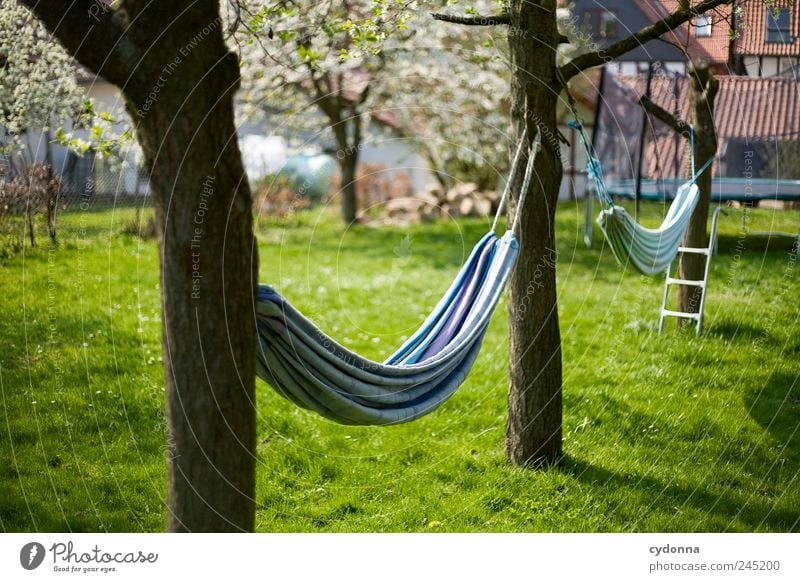 Relax Lifestyle Harmonious Well-being Calm Leisure and hobbies Vacation & Travel Environment Nature Spring Tree Grass Garden Meadow Freedom Serene Idyll