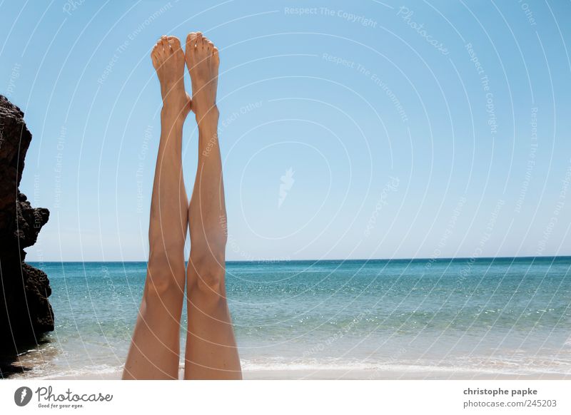 Holiday Down-Under Vacation & Travel Summer Summer vacation Sunbathing Beach Ocean Waves Feminine Legs Feet Cloudless sky Beautiful weather Lie Thin
