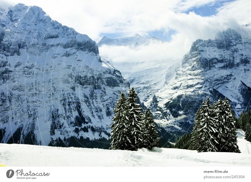 Grindelwald Winter vacation Switzerland Snow sunny Mountain Alps mean horn