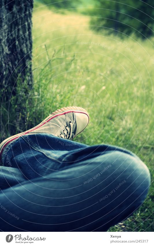 time-out Legs Feet Tree Grass Park Jeans Sneakers Relaxation Dream Blue Green Serene Calm Leisure and hobbies Break Loneliness Meditative Colour photo