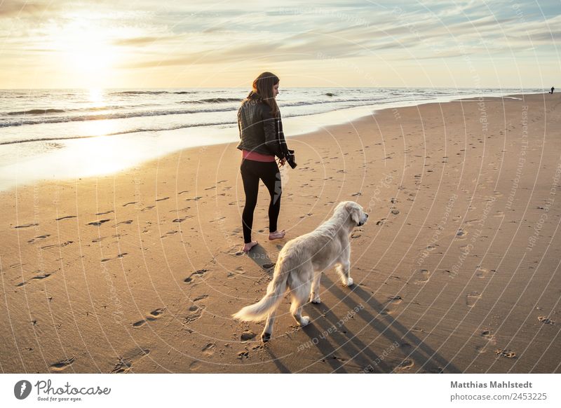 Beach walk with dog Human being Feminine Young woman Youth (Young adults) Adults 1 18 - 30 years Landscape Sand Water Sky Sunrise Sunset Summer Coast Ocean