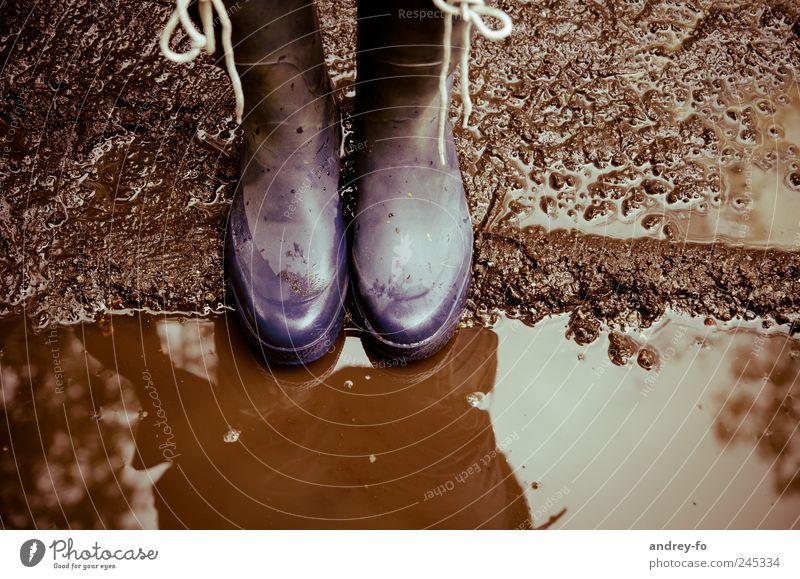 rubber boots Legs Boots Rubber boots Hiking Dirty Brown 2 In pairs Laced boot Water Reflection Autumnal Wet Bird's-eye view Cold Bad weather Puddle Earth