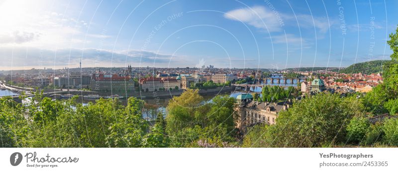 Prague city panorama in summer Beautiful Vacation & Travel Summer Art Landscape Beautiful weather Tree Flower Old town Bridge Building Tourist Attraction