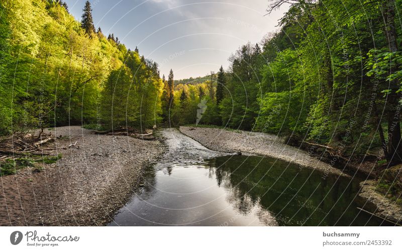 Natural landscape in the Black Forest Harmonious Well-being Vacation & Travel Tourism Trip Far-off places Freedom Camping Summer Hiking Environment Nature