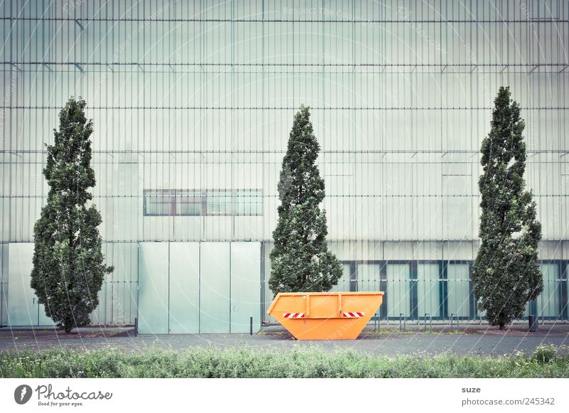 Museum of Fine Arts Culture Tree Meadow Manmade structures Building Facade Window Container Gloomy Town Green Orange Arrangement Growth Change Entrance Cypress