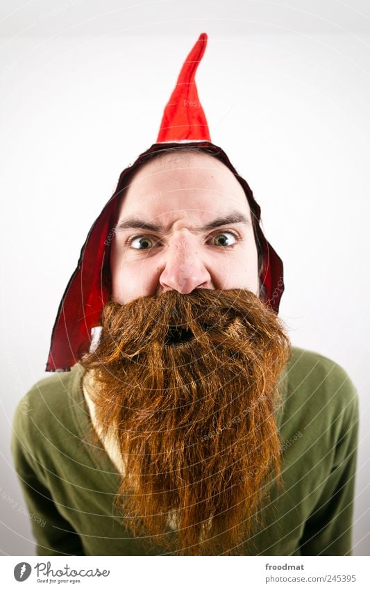 beard Carnival Human being Masculine Man Adults Cap Brunette Red-haired Beard Hair Threat Brash Funny Curiosity Crazy Trashy Wild Disbelief Mistrust Bizarre