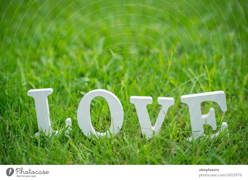 Love letter is placed Backyard and green grass Style Design Decoration Feasts & Celebrations Wedding Grass Cloth Simple Bright Retro Yellow Green Emotions
