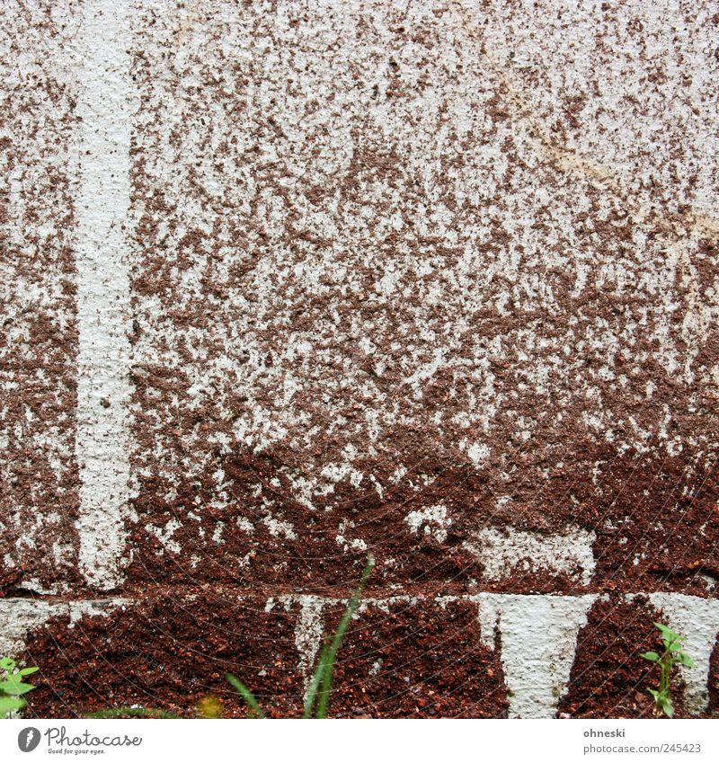 rain Grass Wall (barrier) Wall (building) Facade Dirty Stone Sand Line Stripe Inject Colour photo Exterior shot Abstract Structures and shapes Deserted