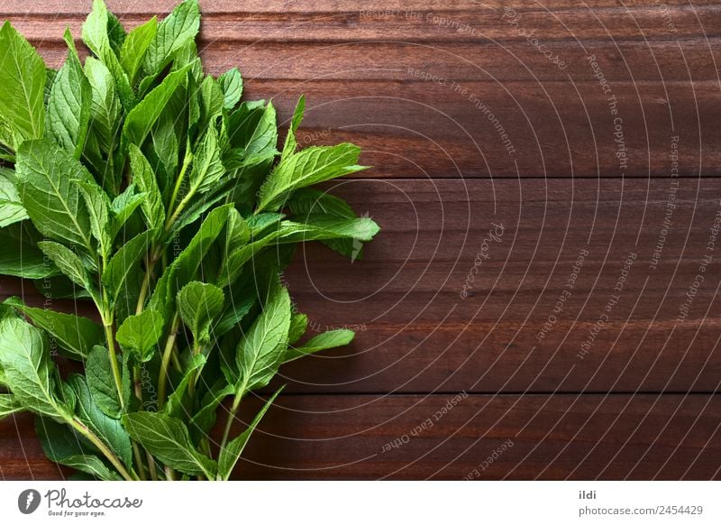 Fresh Mint Herbs and spices Tea Alternative medicine Plant Leaf Natural Green spearmint Bundle remedy Aromatic Fragrant sprig flavor healthy herbal Raw food