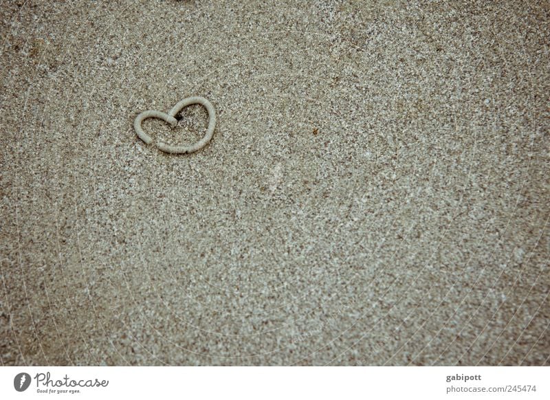 sand worm love Vacation & Travel Tourism Summer Summer vacation Beach Sand Heart Sincere Cute Brown Emotions Happy Love Romance Sandy beach Infatuation