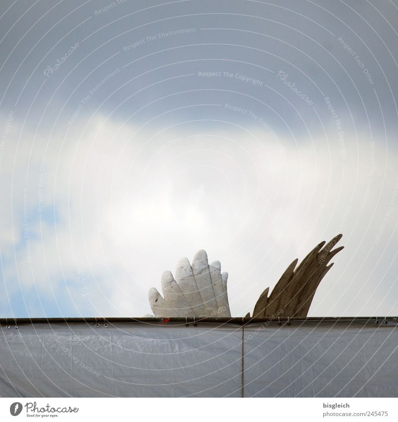 angel wingtips Sculpture Stone Angel angel wings Wing Gray White Sky Heaven tarpaulin Clouds Clouds in the sky Feather Colour photo Subdued colour Exterior shot