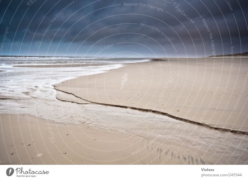 Spiekeroog. So far away. Landscape Sand Water Coast Beach North Sea Island Discover Relaxation Vacation & Travel Far-off places Colour photo Exterior shot