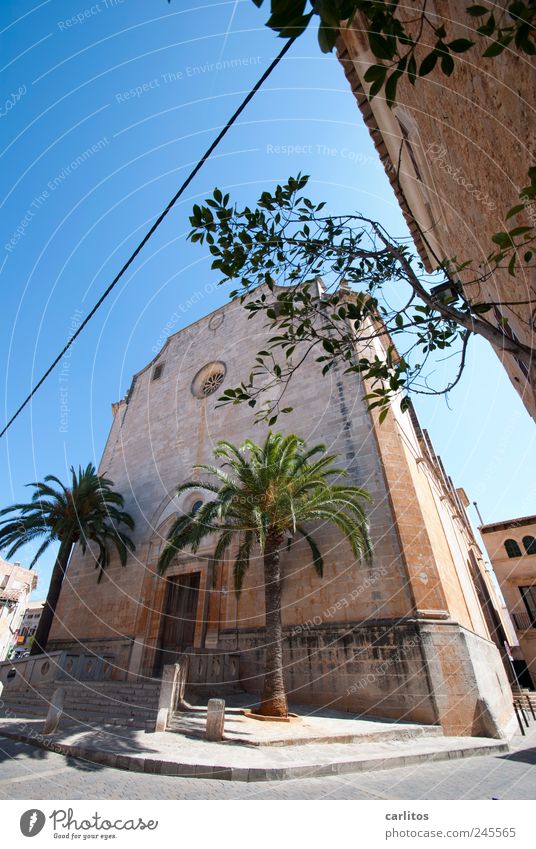Sant Andreu Sky Summer Beautiful weather Tree Palm tree Small Town Downtown Church Building Wall (barrier) Wall (building) Facade Tourist Attraction Old