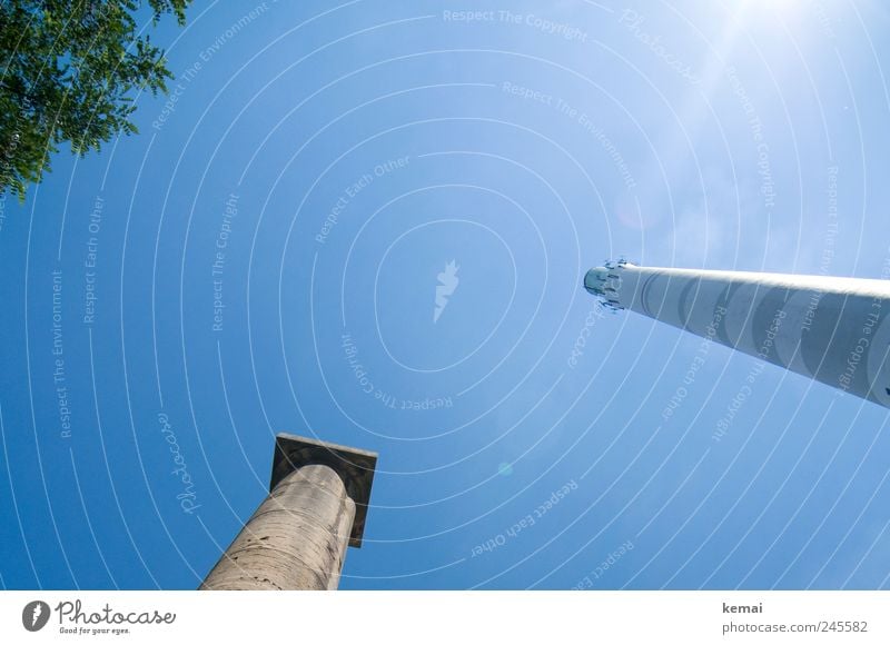 Towering opposites Nature Animal Sky Cloudless sky Sunlight Summer Beautiful weather Plant Tree Leaf Chimney Column Old Large Tall Thermal power station