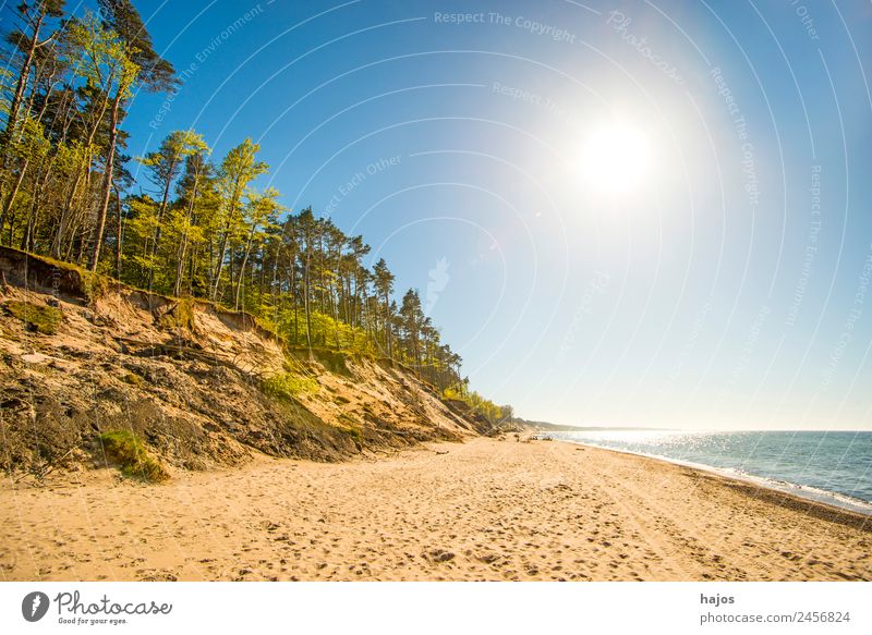 wild Baltic coast in Poland Vacation & Travel Beach Sand Reef Baltic Sea Blue Yellow Tourism dunes trees Lonely Natural Ocean Summer vacation holidays Untouched