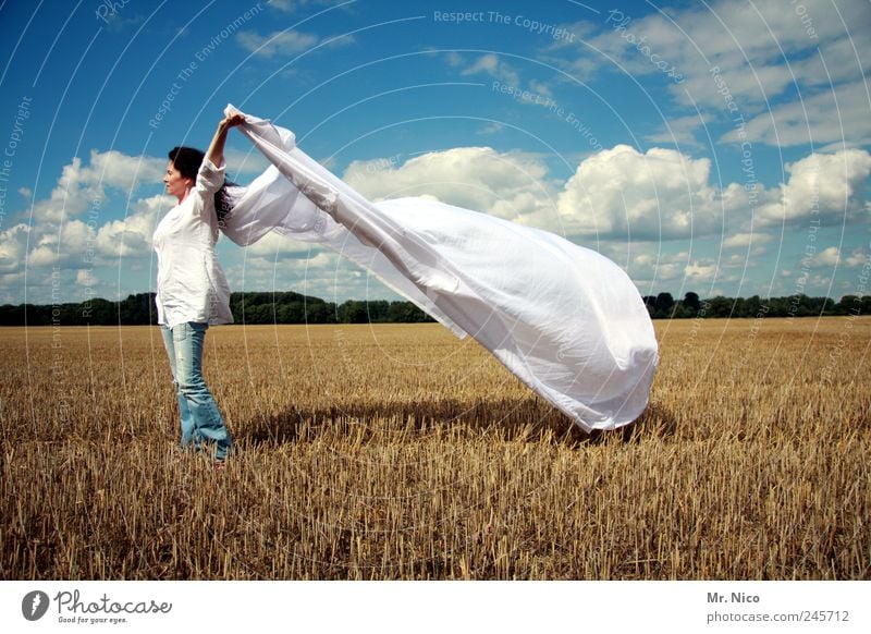 the white giant... Summer Woman Adults Environment Nature Clouds Climate Beautiful weather Field Fresh Clean White Joie de vivre (Vitality) Shirt Stubble field
