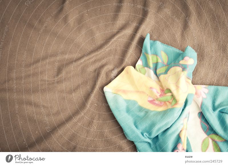 Cuddle alarm Cloth Lie Cuddly Soft Brown Blanket Wrinkles Background picture Material Colour photo Multicoloured Interior shot Pattern Structures and shapes