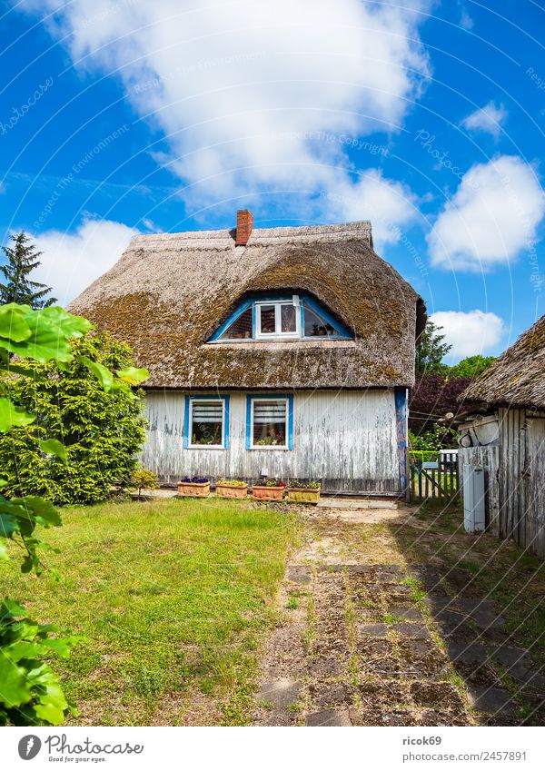 Old building on the Fischland-Darß in Wiek Relaxation Vacation & Travel Tourism House (Residential Structure) Clouds Weather Tree Grass Building Architecture