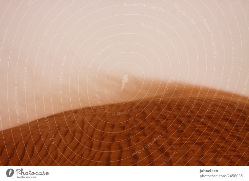 puppete Landscape Sand Wind Gale Waves Desert Sahara Africa Deserted Line Large Hot Dry Loneliness Threat Environment Blow Sandstorm Dune Adventure Colour photo