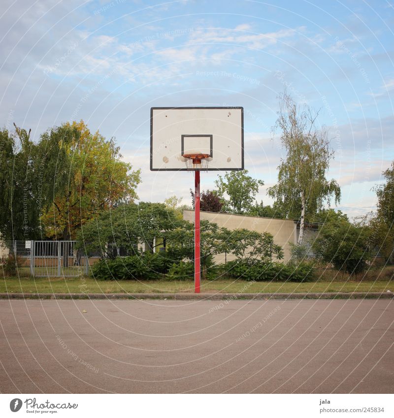 basket Leisure and hobbies Sports Ball sports Basketball basket Basketball arena Environment Nature Sky Plant Tree Grass Bushes Places Colour photo