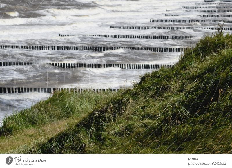 heavy sea Nature Landscape Plant Climate Weather Grass Wild plant Waves Coast Baltic Sea Water Blue Green Darss Ahrenshoop Wooden stake Gale Hill Ocean