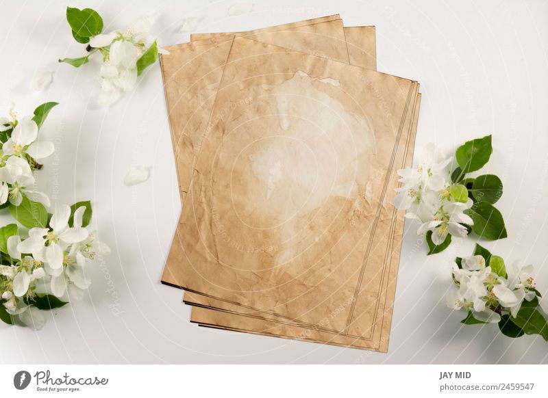 Old crumpled paper with white flowers white background Style Design Wedding Office Business Company Flower Paper Love Natural Retro Clean White Identity Mock-up