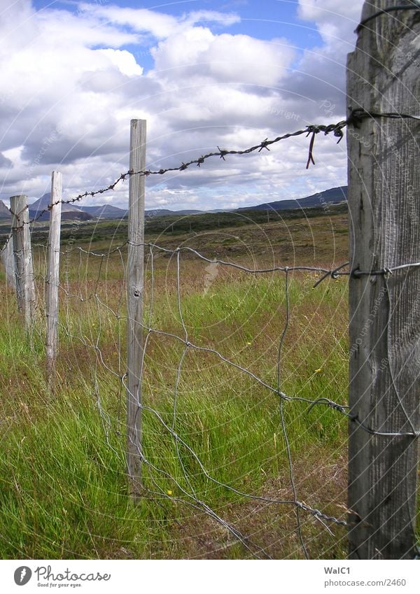 Northern Iceland Fence Barbed wire Clouds Meadow Green Europe Landscape Water