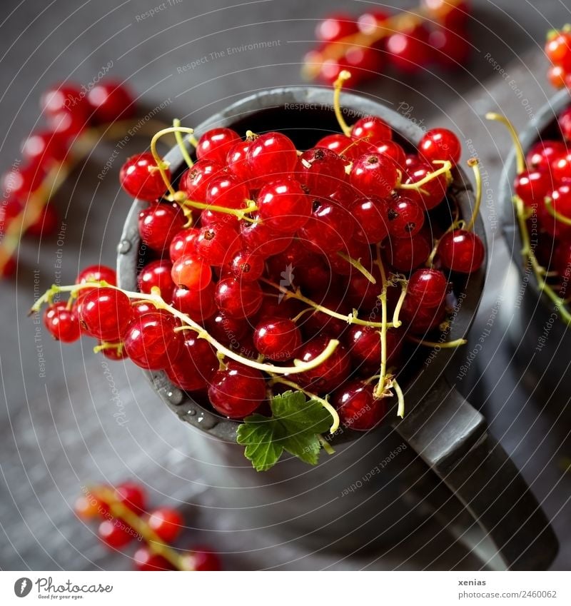 juicy red currants in a zinc cup Redcurrant fruit Organic produce Food Vegetarian diet Mug Round Juicy Sour Gray green Picked Harvest Food photograph