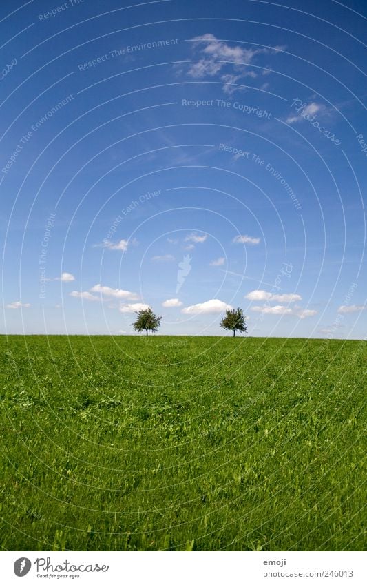 convergence Nature Landscape Sky Summer Beautiful weather Tree Grass Meadow Field Blue Green Simple 2 Natural Colour photo Exterior shot Deserted Copy Space top