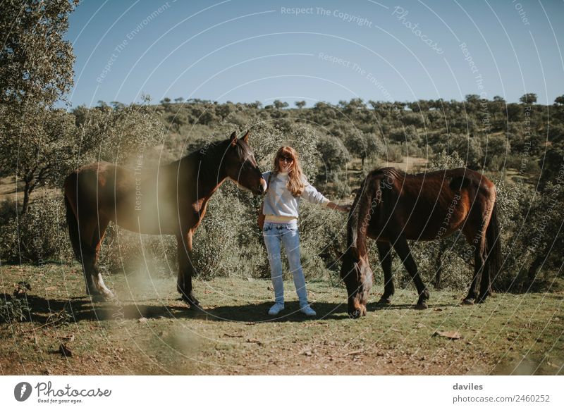 Happy blonde girl caring two horses in nature. Lifestyle Leisure and hobbies Human being Young woman Youth (Young adults) Woman Adults 1 30 - 45 years Nature