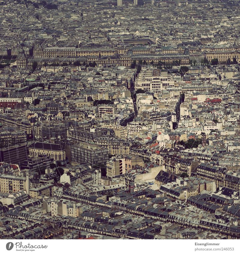 Paris square France Europe Capital city Old town House (Residential Structure) Esthetic Historic Tall Culture Nostalgia Aerial photograph Colour photo