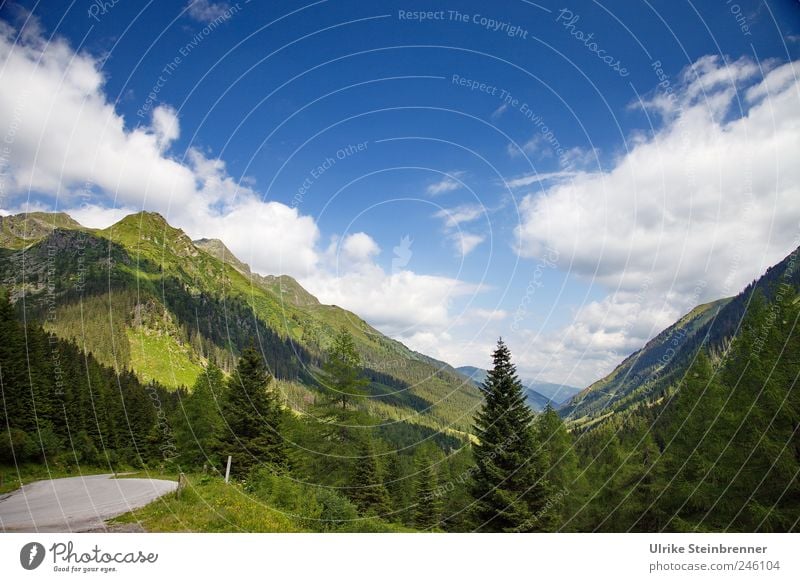 BREATHE UP. Environment Nature Landscape Plant Sky Clouds Sunlight Summer Beautiful weather Tree Grass Bushes Forest Hill Rock Alps Mountain Sölk Pass