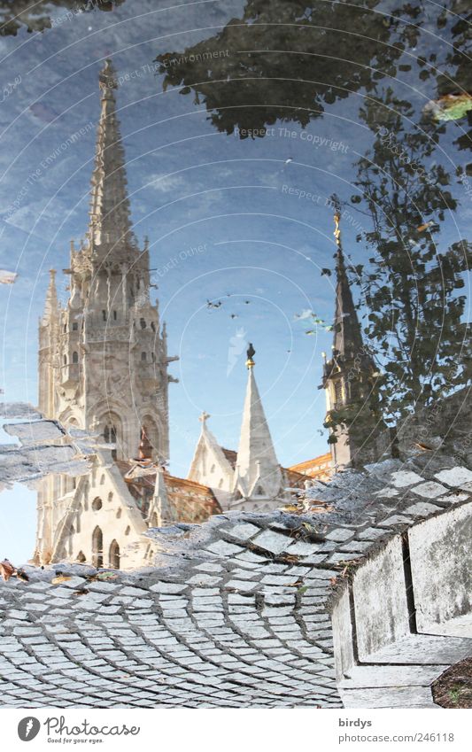 Matthias Church Budapest Hungary, reflection in a puddle Tourist Attraction Tourism Sightseeing Puddle City trip Church spire Belief Religion and faith