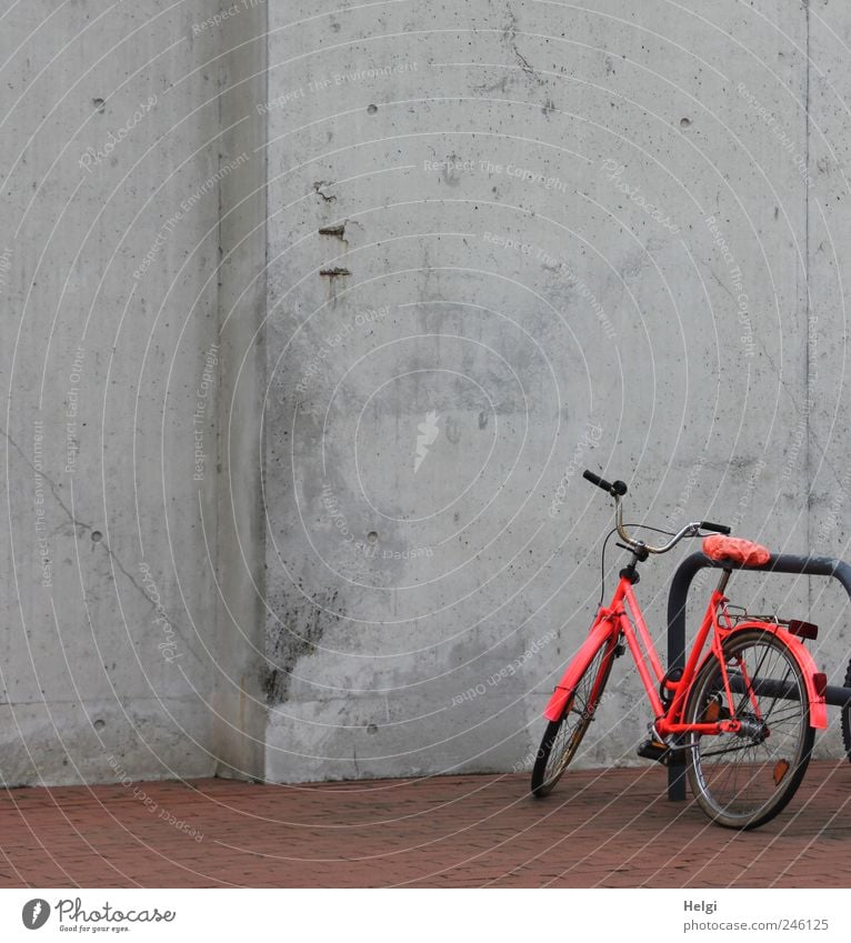 pimped out... Wall (barrier) Wall (building) Means of transport Lanes & trails Vehicle Bicycle Stone Concrete Metal Stand Exceptional Dark Simple Uniqueness