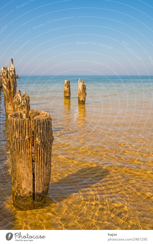 old groynes in the Baltic Sea Summer Beach Mail Nature Sand Maritime Idyll Tourism Wooden stake Decompose stakes Mole Derelict pier Ocean Sky Blue vacation