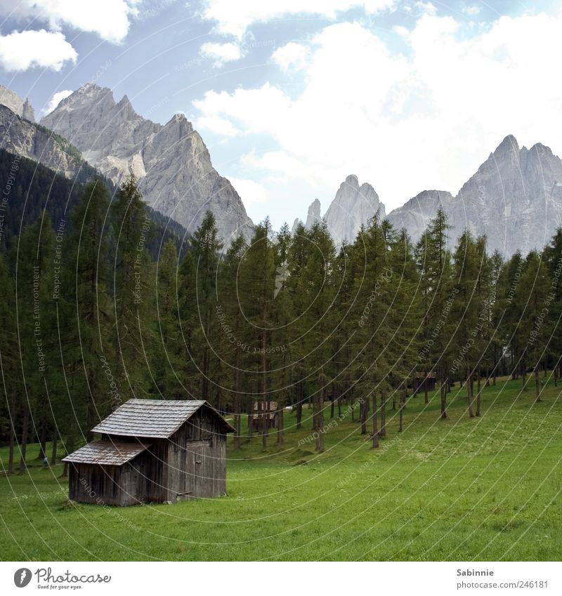 hiking holiday Environment Nature Elements Sky Cloudless sky Sunlight Climate Beautiful weather Plant Tree Grass Meadow Forest Rock Alps Mountain Peak