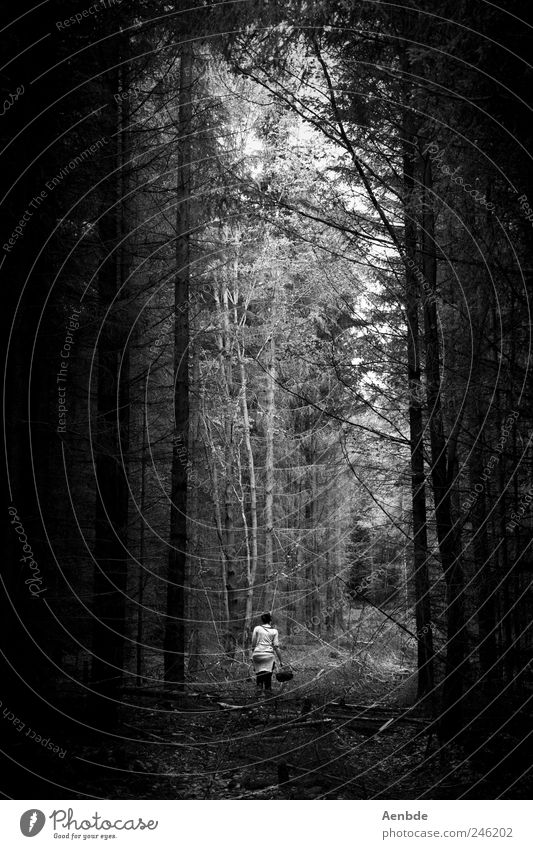 pick mushrooms Leisure and hobbies Vacation & Travel Hiking Human being 1 Environment Nature Forest Dark Creepy Collection Basket Black & white photo