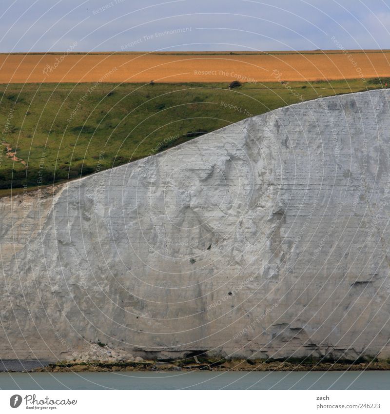 Dover Nature Landscape Water Plant Grass Hill Rock Coast North Sea Ocean English Channel White Cliffs Limestone rock Tourist Attraction Stone Sand Colour photo